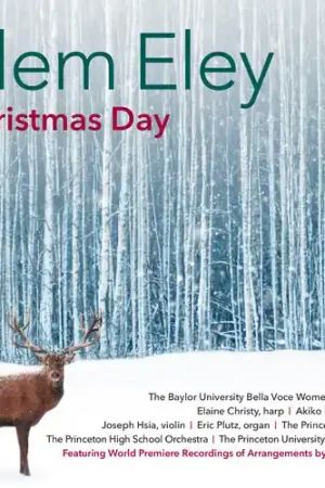 Christmas Day Same Day Shipping