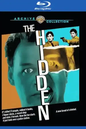 The Hidden Bulk Order