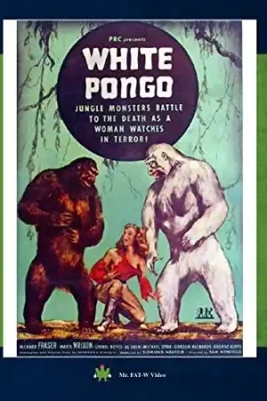 Exclusive White Pongo / (Mod Ntsc)