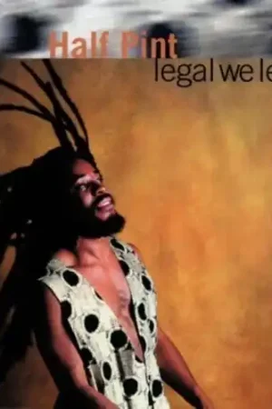 Legal We Legal Direct From Manufacturer
