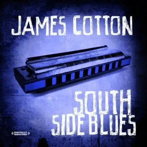 South Side Boogie & Other Favorites Best Choice