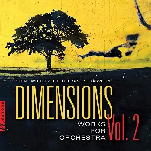 Instant Buy Dimensions 2