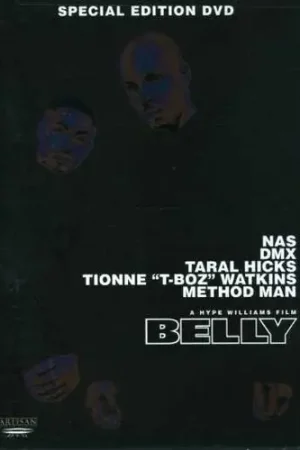 Shop Now Belly