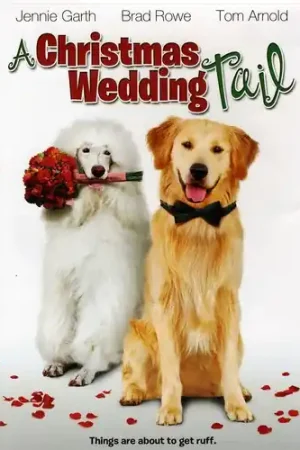 A Christmas Wedding Tail Direct From Factory