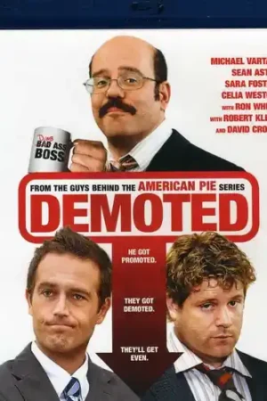 Demoted Next Day Delivery