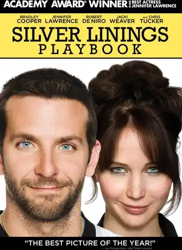Discount Silver Linings Playbook
