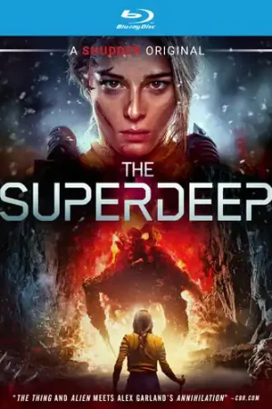 Superdeep, The Flash Sale