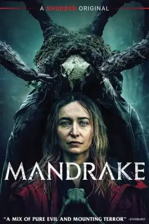 Special Offer Mandrake