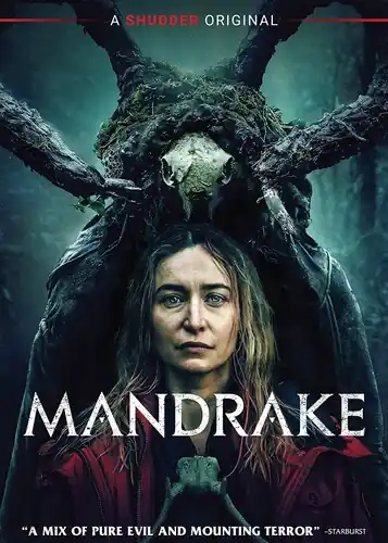 Special Offer Mandrake