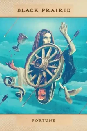 Special Offer Fortune [Vinyl]