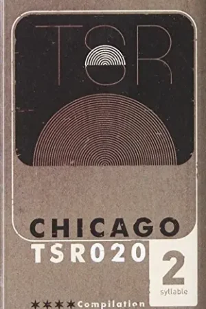 Twosyllable Records Chicago Compilation 2 / Various Free Shipping