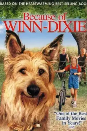 Same Day Shipping Because of Winn-Dixie