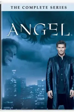 Angel: The Complete Series Certified