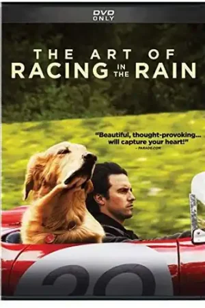 Big Sale The Art of Racing in the Rain