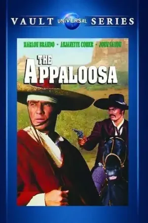 Deal The Appaloosa