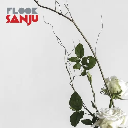 Sanju (Uk) Budget