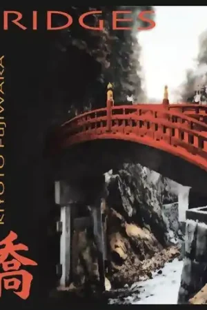 Bridges Direct From Factory
