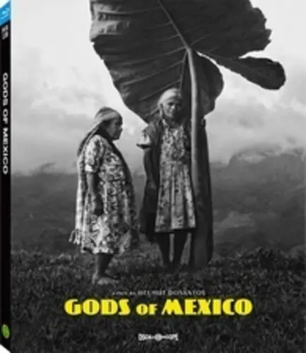 Gods Of Mexico / (Ac3 Sub) Big Sale