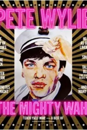 Holiday Sale Teach Yself Wah! - A Best Of Pete Wylie & The Mighty Wah!