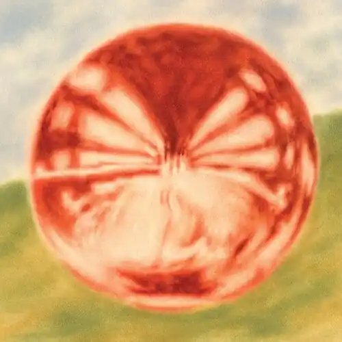 Exclusive Heart Of The Artichoke
