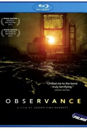 Observance Buy Today