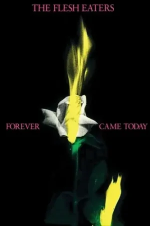 Forever Came Today Must Have