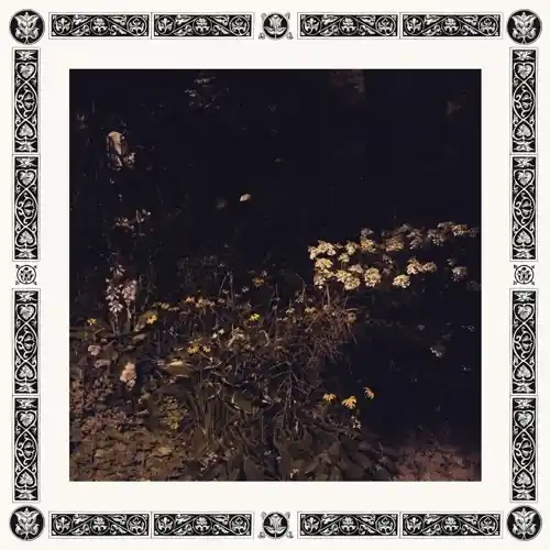 Luxury Pale Bloom