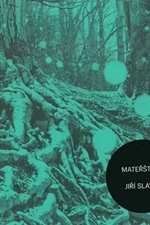 Limited Edition Materstina