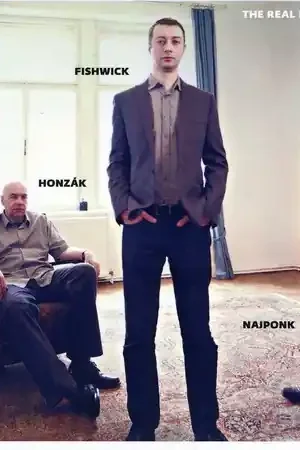 Flash Sale Najponk Piano-Jaromir Honzak Ba