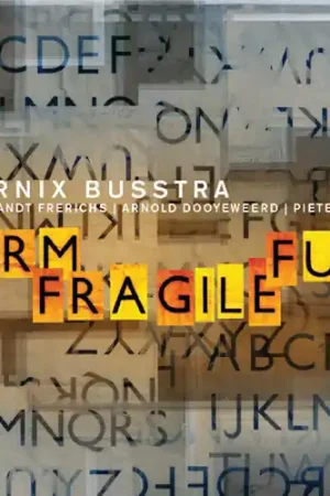 Firm Fragile Fun Exclusive