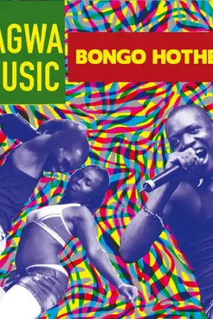 Bongo Hotheads Cheap