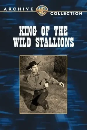 Wholesale King of the Wild Stallions