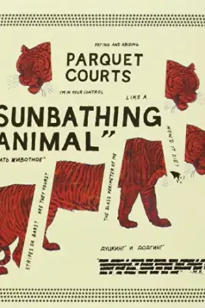 Sunbathing Animal [Import] Money Back Guarantee