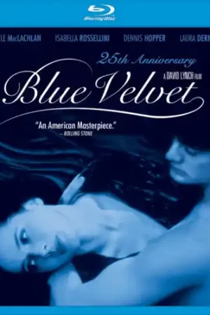 Blue Velvet Order Now