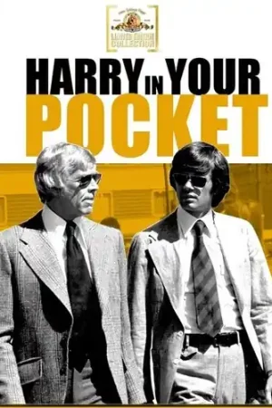 Harry in Your Pocket Handmade