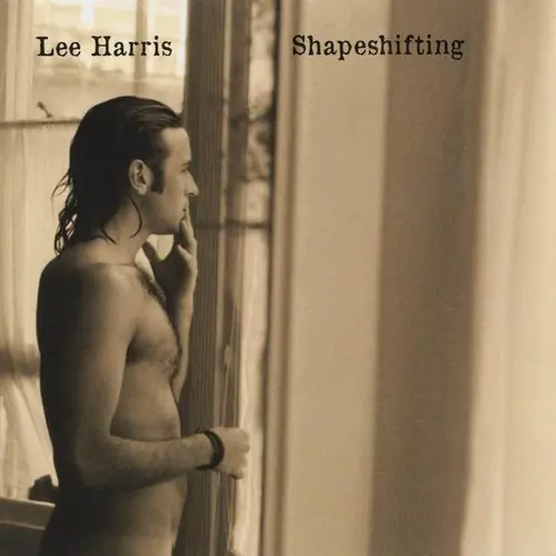 Cheap Shapeshifting