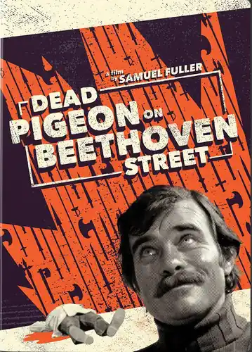 Final Sale Dead Pigeon on Beethoven Street