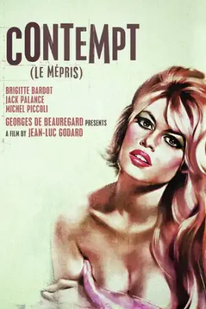 Top Rated Contempt / (Mod)