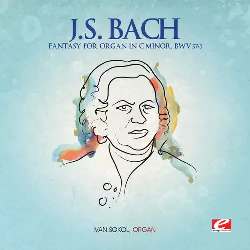 High Quality Fantasy for Organ in C minor