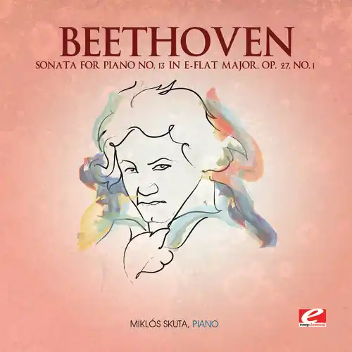 Limited Offer Sonata for Piano 13 in E-Flat Major