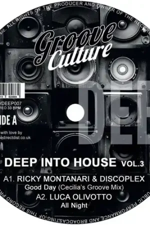 Deep Into House Vol. 3 / Various Certified