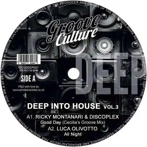 Deep Into House Vol. 3 / Various Certified