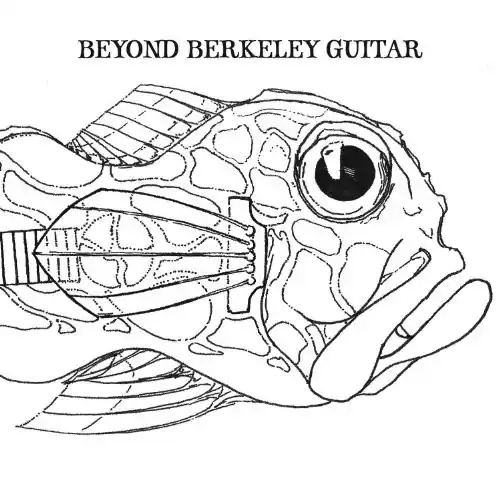 Beyond Berkeley Guitar Free Delivery