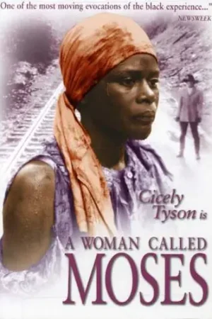 A Woman Called Moses Factory Price