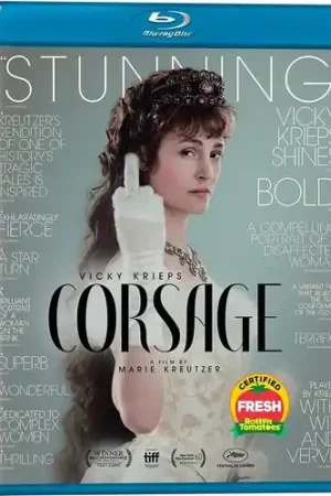 Direct From Factory Corsage/Bd