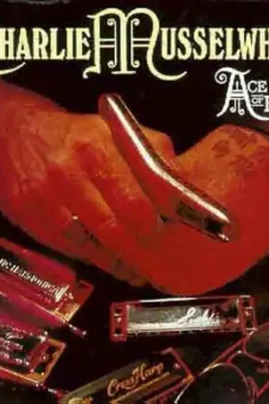 Ace of Harps Mega Sale