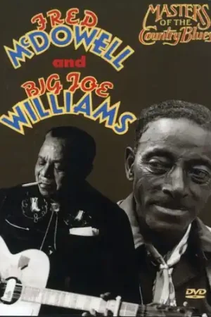 Masters of the Country Blues Next Day Delivery