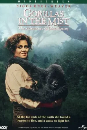Gorillas in the Mist Exclusive