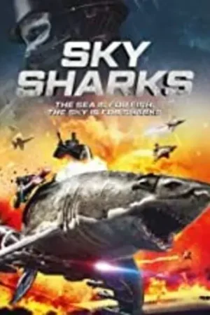 Sky Sharks Hot Picks