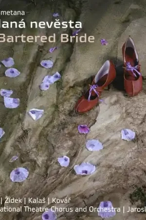 Professional Grade Bartered Bride